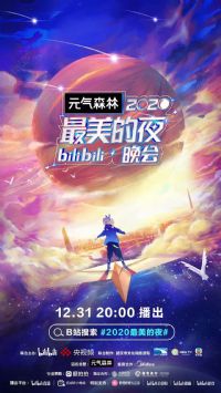 2020������ҹbilibili����
