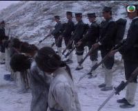 ѪȾ��������