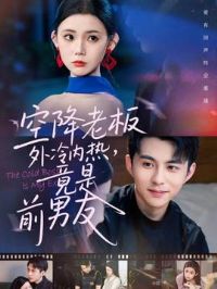 空降老板外冷内热,竟是前男友