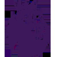 Ӣ������ ������VSɣ����20260304